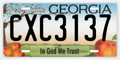 GA license plate CXC3137