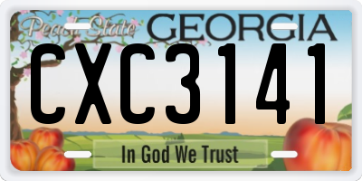 GA license plate CXC3141