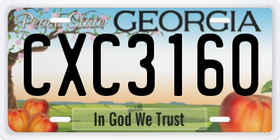 GA license plate CXC3160