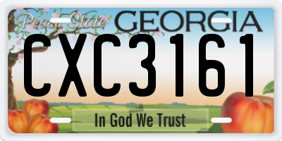 GA license plate CXC3161