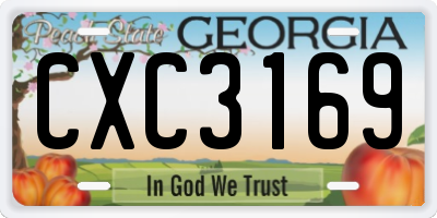GA license plate CXC3169