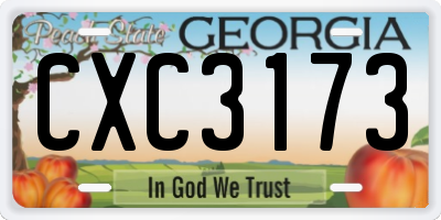 GA license plate CXC3173