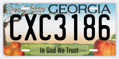 GA license plate CXC3186