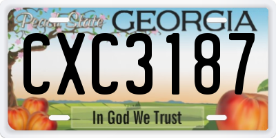 GA license plate CXC3187