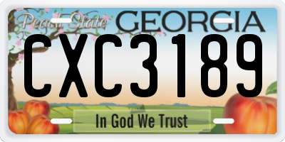 GA license plate CXC3189