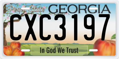 GA license plate CXC3197