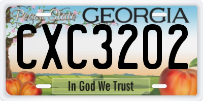 GA license plate CXC3202