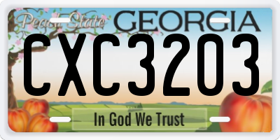 GA license plate CXC3203