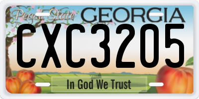 GA license plate CXC3205