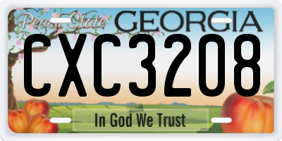 GA license plate CXC3208