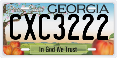 GA license plate CXC3222