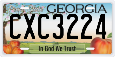 GA license plate CXC3224