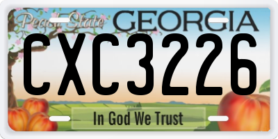 GA license plate CXC3226