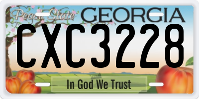 GA license plate CXC3228