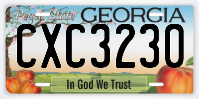 GA license plate CXC3230