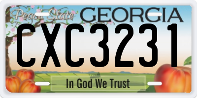 GA license plate CXC3231