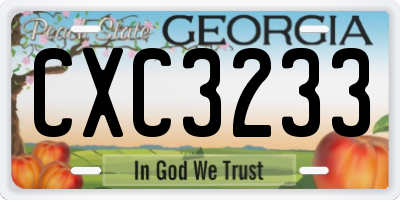 GA license plate CXC3233