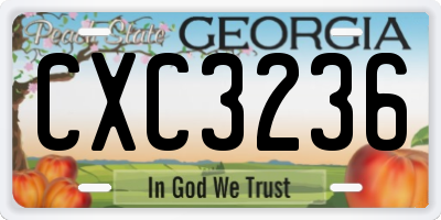 GA license plate CXC3236