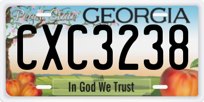 GA license plate CXC3238