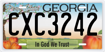 GA license plate CXC3242