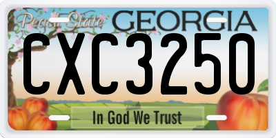 GA license plate CXC3250
