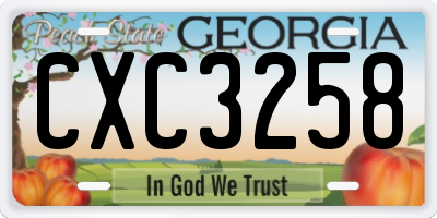 GA license plate CXC3258