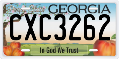 GA license plate CXC3262