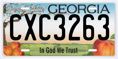 GA license plate CXC3263