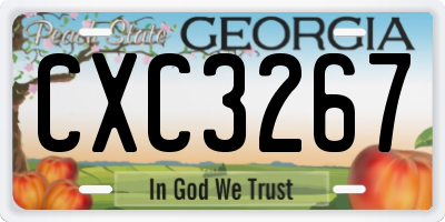 GA license plate CXC3267