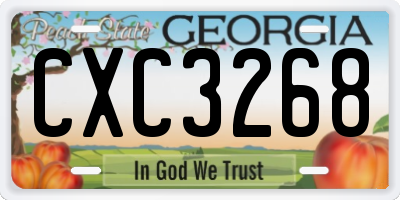 GA license plate CXC3268