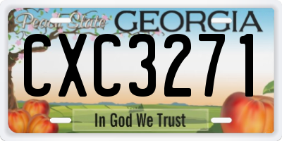 GA license plate CXC3271