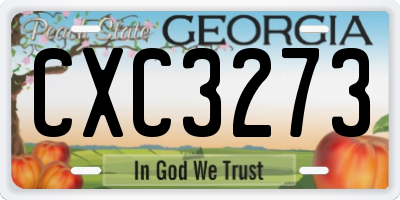 GA license plate CXC3273