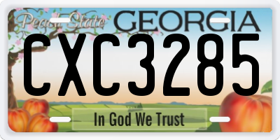 GA license plate CXC3285