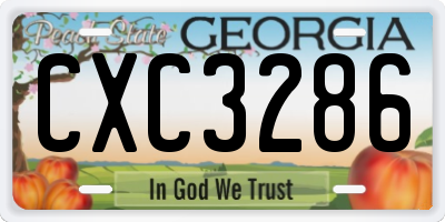 GA license plate CXC3286