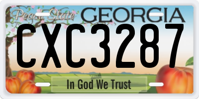 GA license plate CXC3287