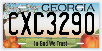 GA license plate CXC3290