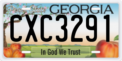 GA license plate CXC3291