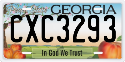 GA license plate CXC3293