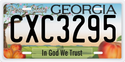 GA license plate CXC3295