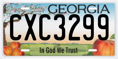 GA license plate CXC3299