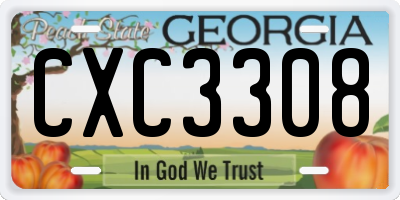GA license plate CXC3308