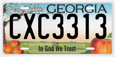 GA license plate CXC3313