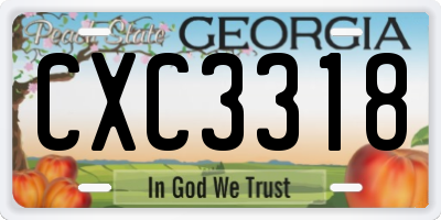 GA license plate CXC3318