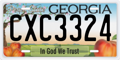 GA license plate CXC3324