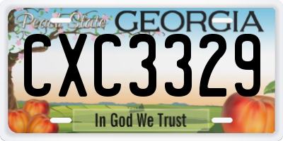 GA license plate CXC3329