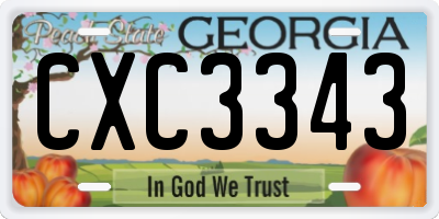 GA license plate CXC3343
