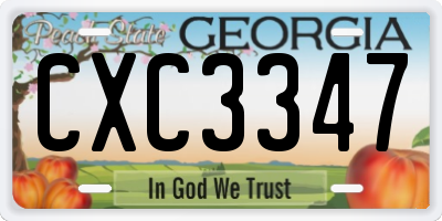 GA license plate CXC3347