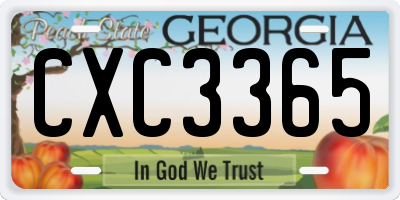 GA license plate CXC3365