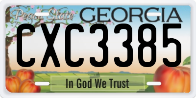 GA license plate CXC3385