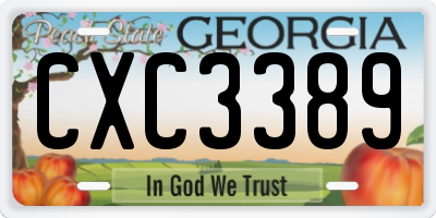 GA license plate CXC3389